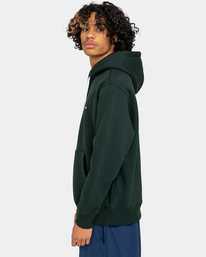 3 Cornell Heavy - Sweat à capuche pour Homme Vert ELYFT00145 Element