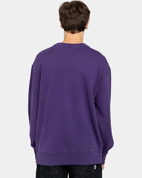 6 Cornell 3.0 - Sweat pour Homme Violet ELYFT00151 Element