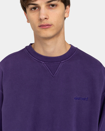 4 Cornell 3.0 - Sudadera para Hombre Violeta ELYFT00151 Element