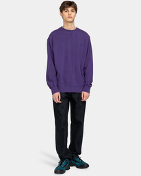 5 Cornell 3.0 - Sweatshirt for Men Purple ELYFT00151 Element