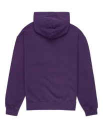 1 Cornell 3.0 - Felpa con cappuccio da Uomo Purple ELYFT00152 Element