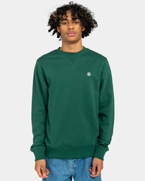 2 Cornell Classic - Sweat pour Homme Vert ELYFT00158 Element