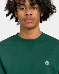 4 Cornell Classic - Sweat pour Homme Vert ELYFT00158 Element