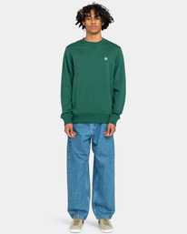 5 Cornell Classic - Sweat pour Homme Vert ELYFT00158 Element