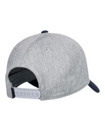 4 Treelogo - Snapback-Cap für Männer Grau ELYHA00139 Element