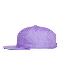 2 Pool - Strapback Cap for Men Purple ELYHA00141 Element