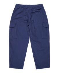 1 Utility Chillin - Pantalon cargo pour Homme Bleu ELYNP00122 Element