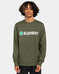 2 Blazin - Sweatshirt für Männer Grün ELYSF00155 Element
