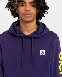 4 Joint 2.0 - Sweat à capuche pour Homme Violet ELYSF00163 Element