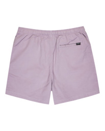 1 Valley Twill - Elasticated Shorts for Men Purple ELYWS00102 Element