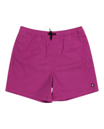 0 Valley Twill - Elasticated Shorts for Men Purple ELYWS00102 Element