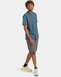 element, Howland Classic - Chino-Shorts für Männer, NINE IRON (ksa0) Howland Classic - Chino Shorts for Men ELYWS00104