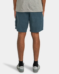 6 Pull Up Travel - Wandelshort voor Heren Blue ELYWS00109 Element