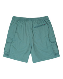 Utility Hybrid Cargo Shorts