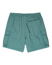 0 Utility Hybrid Cargo Shorts  ELYWS00121 Element