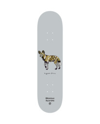 0 Endangeredndon Westgate - Skateboard-Deck Mehrfarbig ELYXD00123 Element