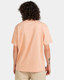 6 Blazin Chest T-Shirt Orange ELYZT00153 Element