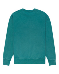 1 Cornell 3.0 - Sweatshirt Green F1CRD1ELF2 Element