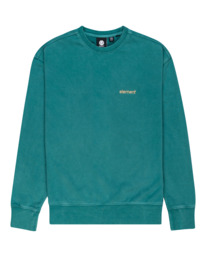 0 Cornell 3.0 - Sweatshirt Green F1CRD1ELF2 Element