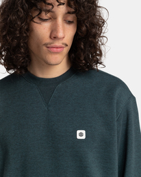 3 Heavy - Sweatshirt für Männer Grün F1CRD2ELF2 Element