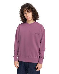 2 Cornell 3.0 Split 2022 - Sweatshirt Violett F1CRD8ELF2 Element
