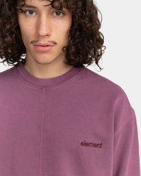 3 Cornell 3.0 Split 2022 - Sweatshirt Violett F1CRD8ELF2 Element