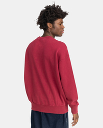 5 Unye 2022 - Sweat pour Homme Rouge F1FLA3ELF2 Element