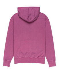 element, Cornell 3.0 2022 - Sudadera con Capucha, BERRY CONSERVE (4964) Cornell 3.0 2022 - Hoodie F1HOB1ELF2