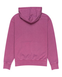 1 Cornell 3.0 - Sudadera con Capucha Violeta F1HOB1ELF2 Element