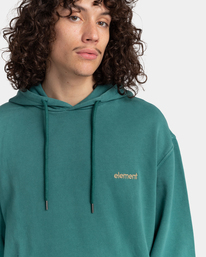 3 Cornell 3.0 - Sudadera con Capucha Verde F1HOB1ELF2 Element