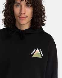 2 Mountain Stance - Sweat à capuche pour Homme Noir F1HOD2ELF2 Element