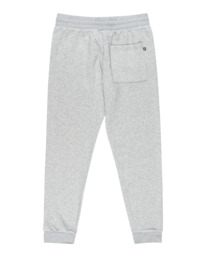 1 Cornell - Pantalón de Chándal Gris F1PTE1ELMU Element