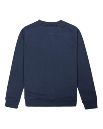 1 In The City Icon - Sweatshirt for Boys Gray F2CRC4ELF2 Element