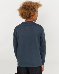 6 In The City Icon - Sweatshirt for Boys Gray F2CRC4ELF2 Element