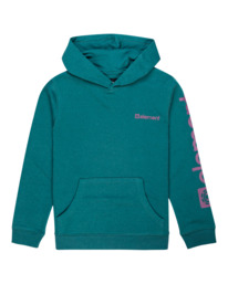 0 Joint 2.0 - Sweat à capuche pour Garçon Vert F2HOB6ELF2 Element