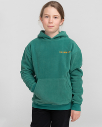 2 Wolfeboro Sky - Sweat à capuche en sherpa pour Garçon Vert F2WAB2ELF2 Element