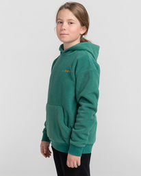 3 Wolfeboro Sky - Sweat à capuche en sherpa pour Garçon Vert F2WAB2ELF2 Element