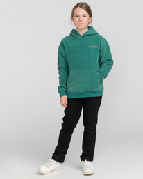 4 Wolfeboro Sky - Sweat à capuche en sherpa pour Garçon Vert F2WAB2ELF2 Element