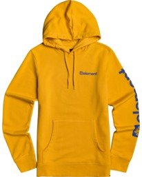 0 Joint Hoodie Multicolor M6543EJO Element