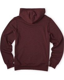 1 Cornell Classic Hoodie Multicolor M661VECH Element