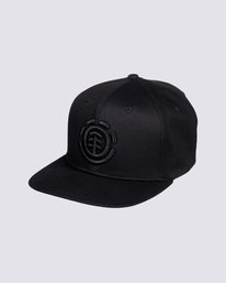 fitted skate hats