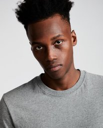 1 Basic - Short Sleeve T-Shirt Gray N1SSG1ELP9 Element