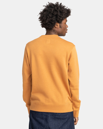 5 Blazin 2022 - Sweat pour Homme Marron U1CRA1ELF0 Element