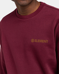 2 Blazin Chest - Sweat pour Homme Rouge U1CRA3ELF0 Element