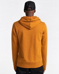 3 Vertical - Sweat à capuche pour Homme Marron U1HOB3ELF0 Element