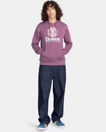 4 Vertical - Sweat à capuche pour Homme Violet U1HOB3ELF0 Element