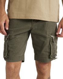 Element source best sale cargo shorts