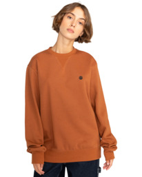 5 Cornell Classic - Sweatshirt Brown W1CRB5ELP1 Element