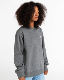 6 Cornell Classic - Sweatshirt Grey W1CRB5ELP1 Element