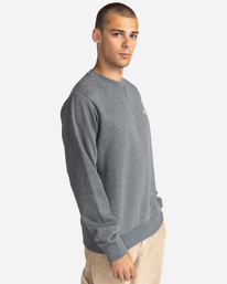 2 Cornell Classic - Sweatshirt Grey W1CRB5ELP1 Element